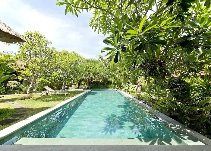 Bali Aja